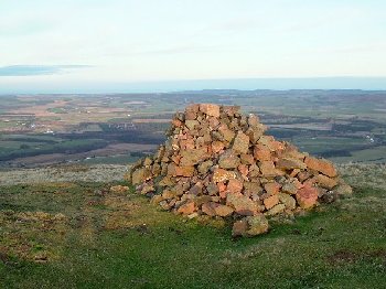 A view of the local surroundings